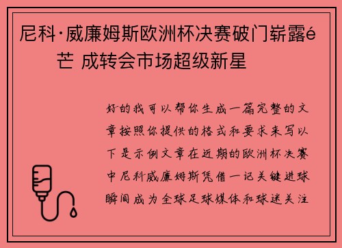 尼科·威廉姆斯欧洲杯决赛破门崭露锋芒 成转会市场超级新星 尼科·威廉姆斯欧洲杯决赛破门崭露锋芒 成转会市场超级新星
