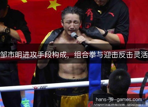 邹市明进攻手段构成,组合拳与迎击反击灵活 邹市明进攻手段构成,组合拳与迎击反击灵活
